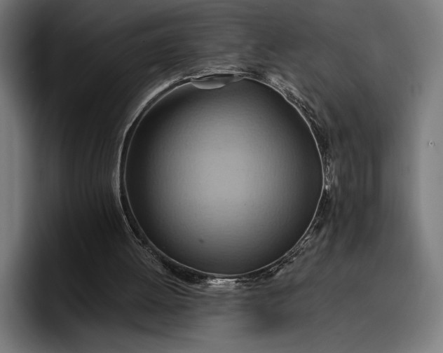 X0000096690052200802191436