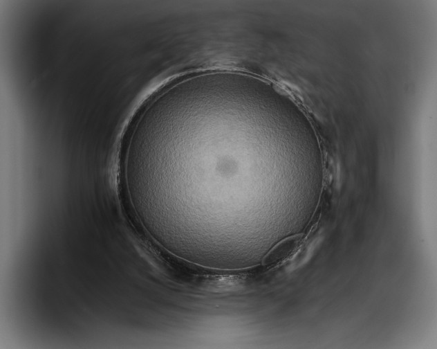 X0000096690056200802191436