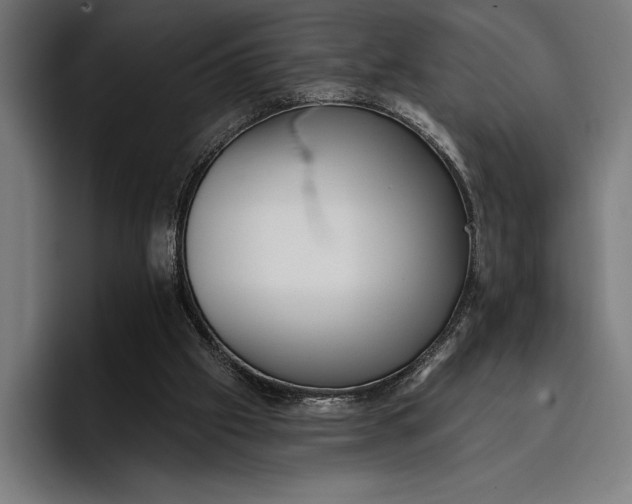 X0000096690057200802191436