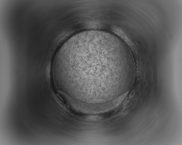 X0000096690058200802191436