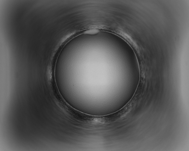 X0000096690060200802191436