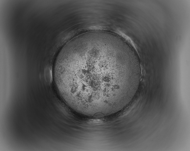 X0000096690061200802191436