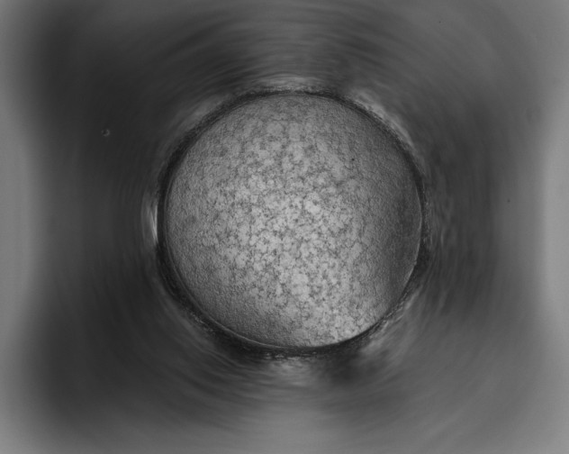 X0000096690062200802191436