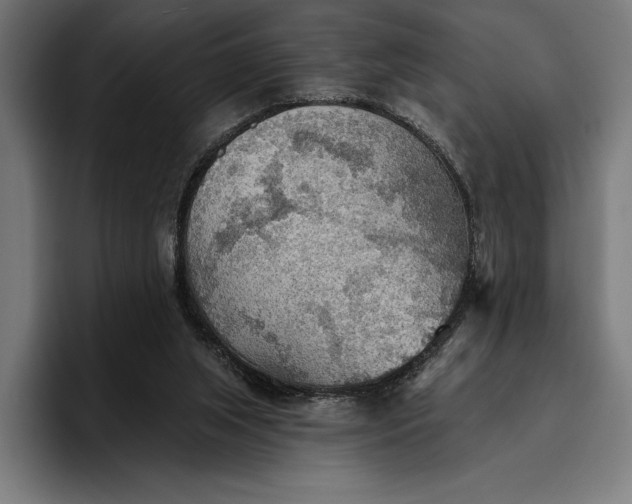 X0000096690063200802191436