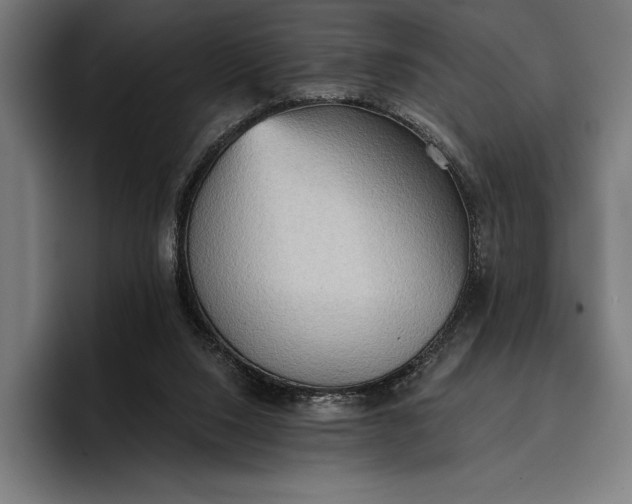 X0000096690064200802191436