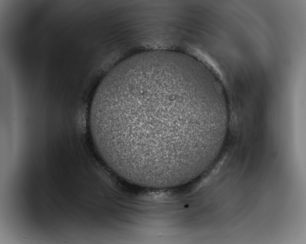 X0000096690065200802191436