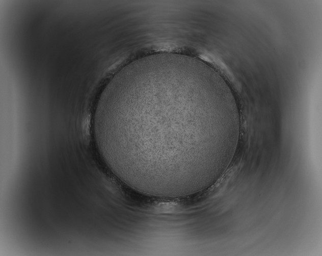 X0000096690066200802191436