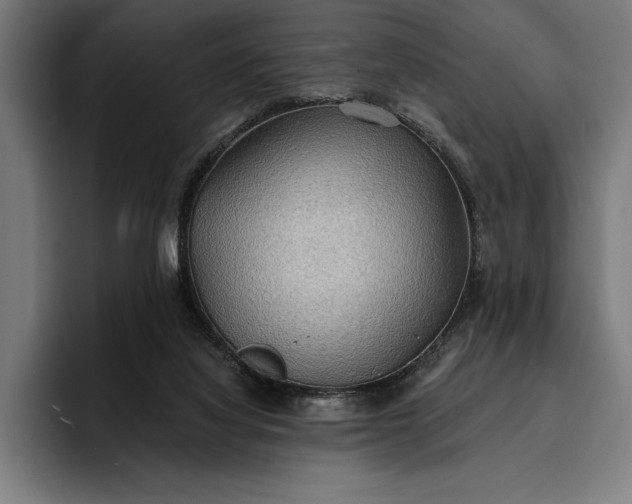 X0000096690068200802191436