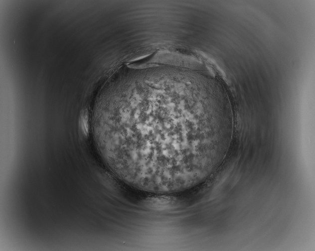 X0000096690069200802191436