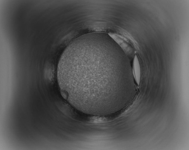 X0000096690073200802191436