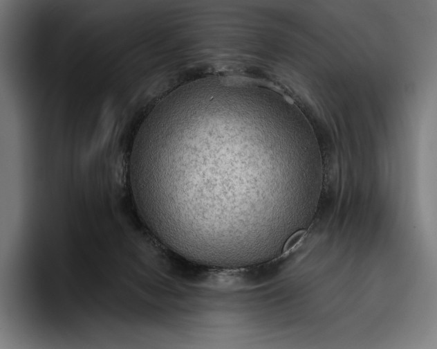 X0000096690078200802191436