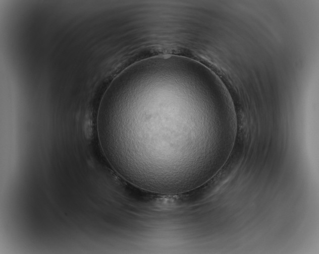 X0000096690080200802191436