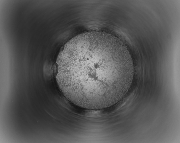 X0000096690081200802191437