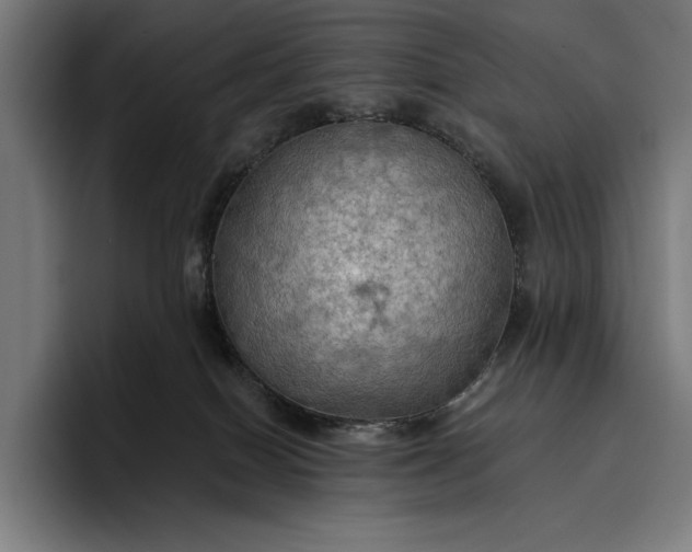 X0000096690086200802191437