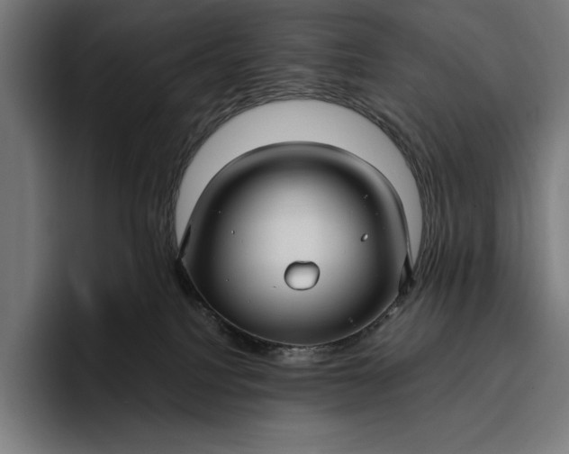 X0000096690088200802191437