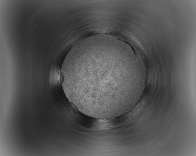 X0000096690095200802191437