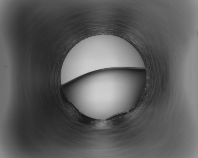 X0000096690096200802191437