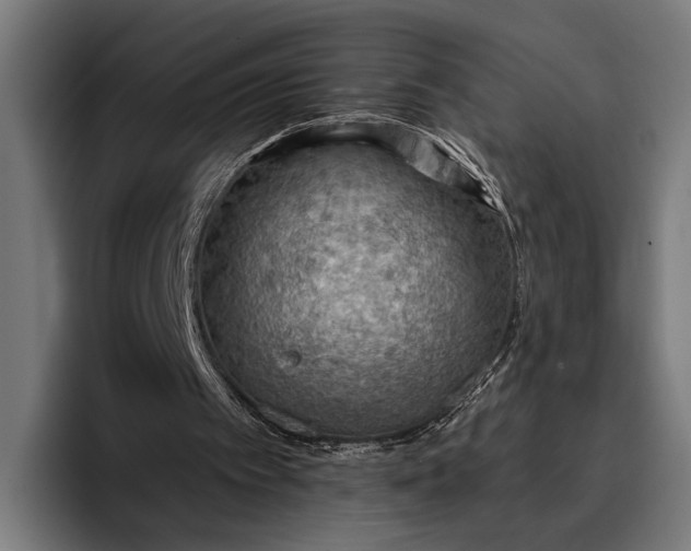 X0000096690097200802191436