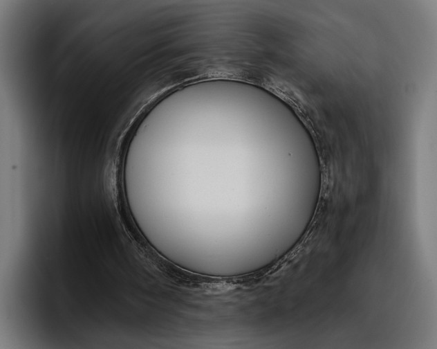 X0000096690098200802191436