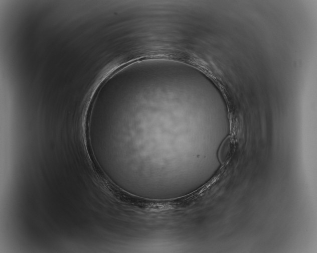 X0000096690099200802191436