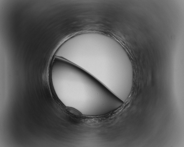 X0000096690100200802191436