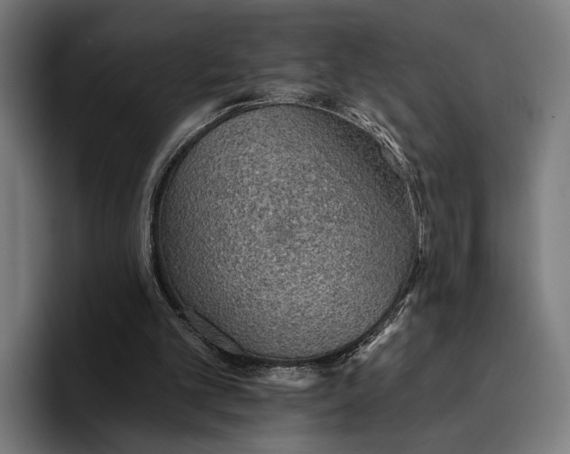 X0000096690101200802191436