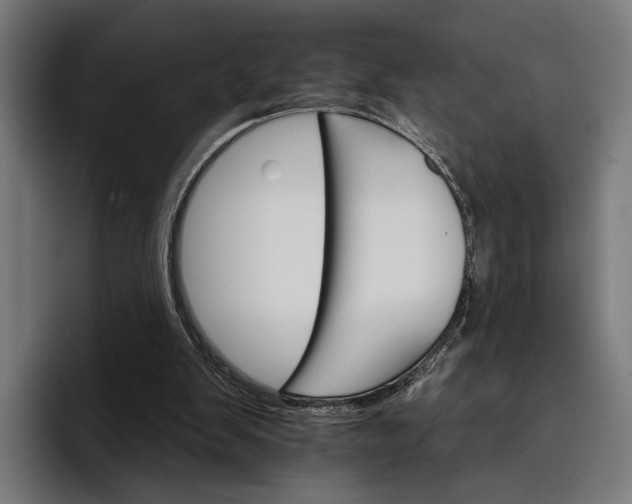 X0000096690103200802191436