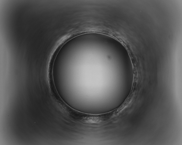 X0000096690104200802191436