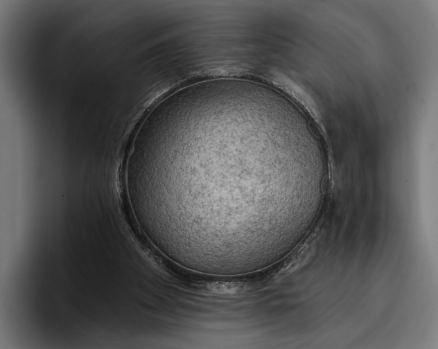 X0000096690105200802191436