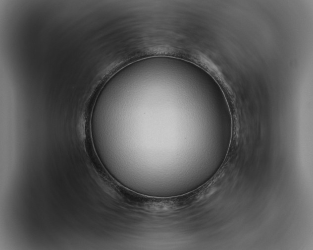 X0000096690106200802191436