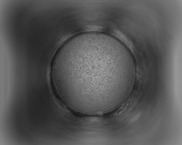 X0000096690107200802191436