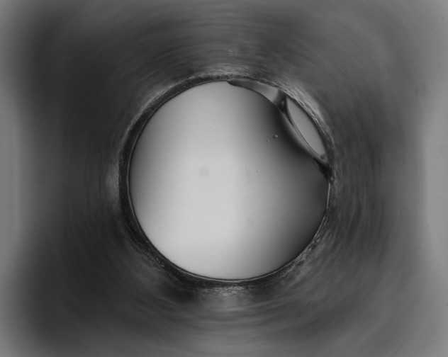 X0000096690108200802191436