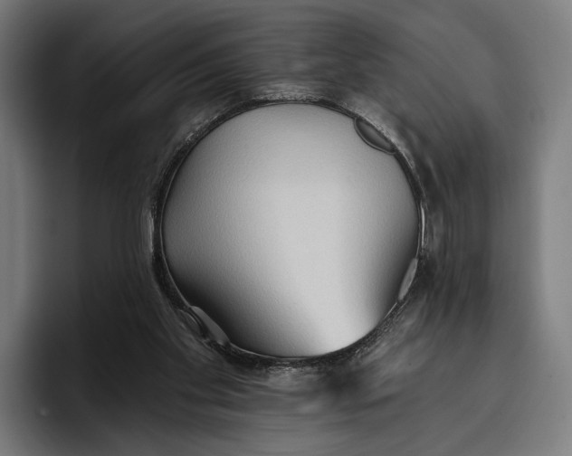 X0000096690109200802191436