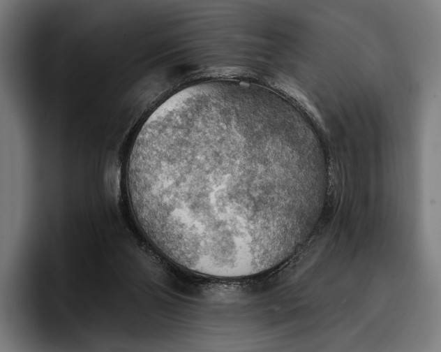 X0000096690110200802191436