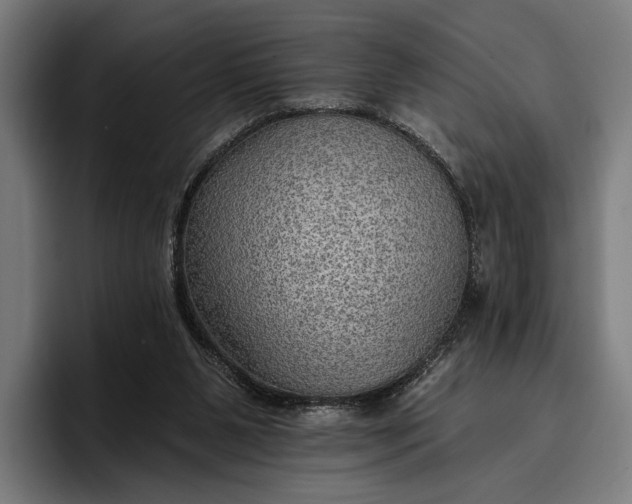 X0000096690111200802191436