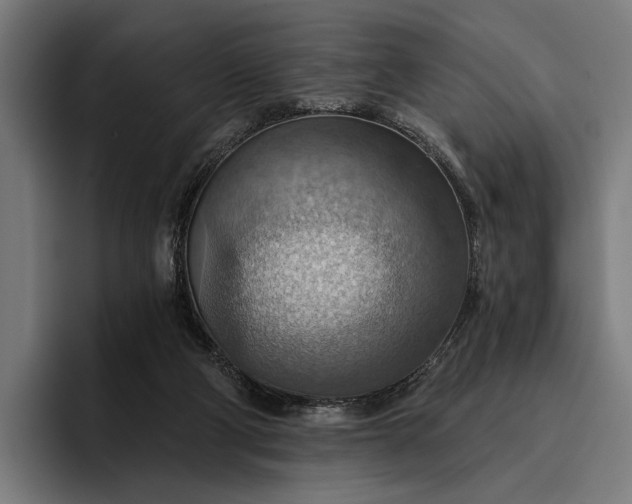 X0000096690114200802191436