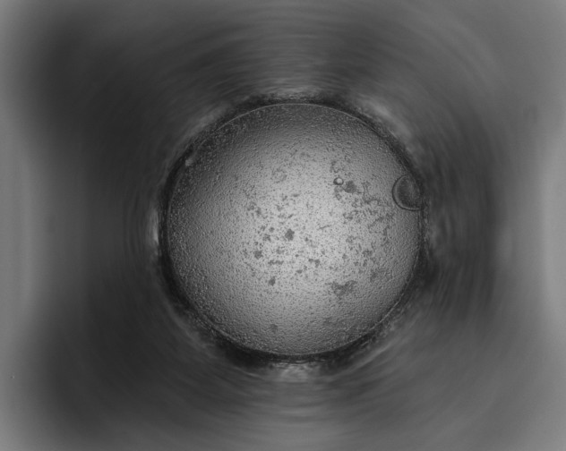 X0000096690115200802191436