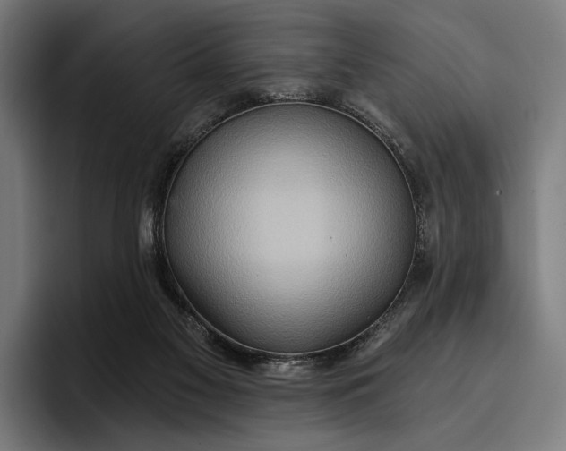 X0000096690117200802191436