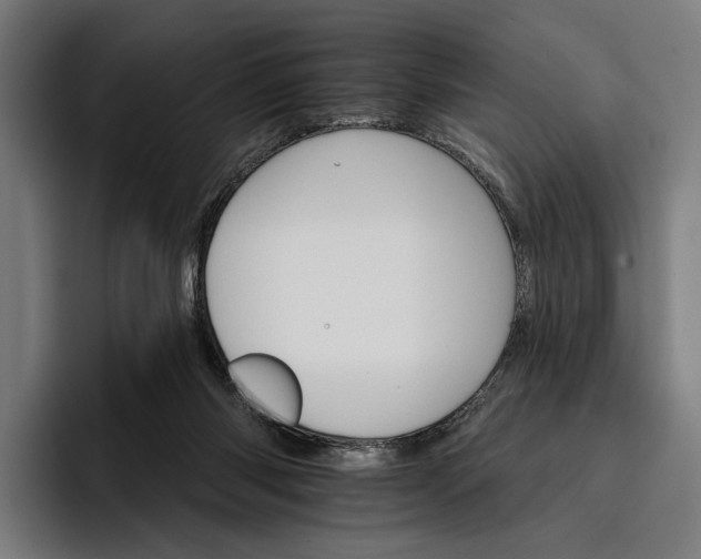 X0000096690118200802191436