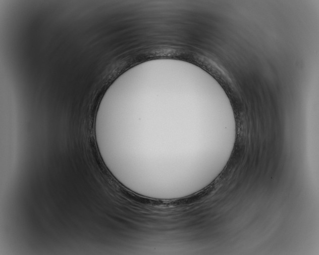 X0000096690119200802191436