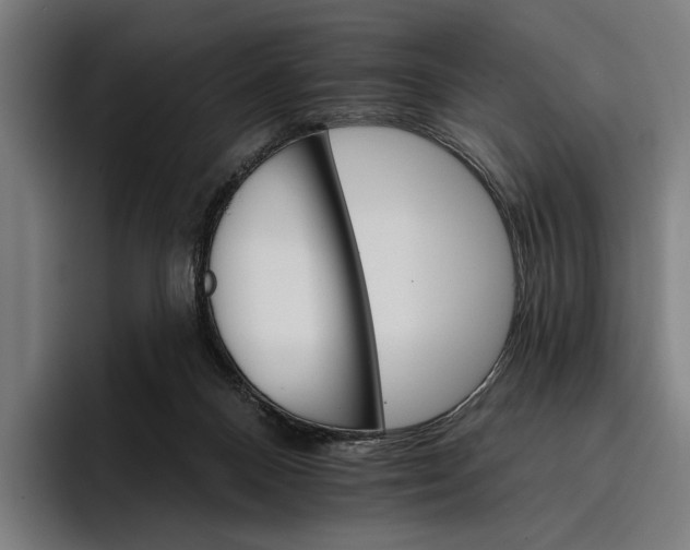 X0000096690120200802191436