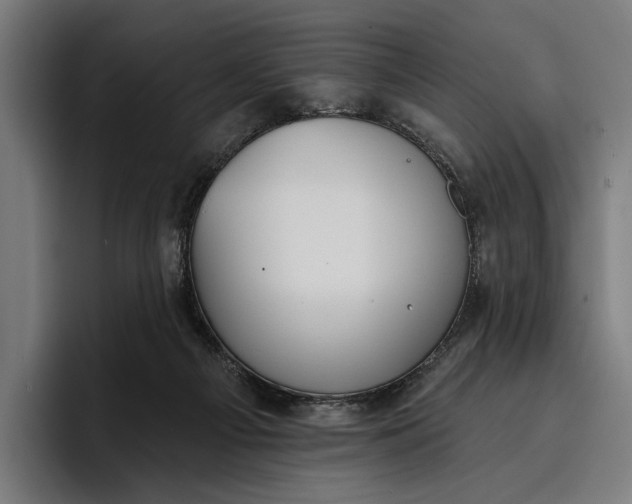 X0000096690121200802191436