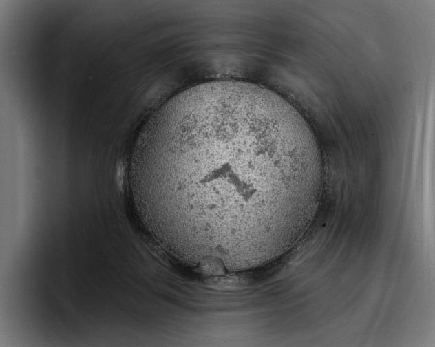 X0000096690123200802191436