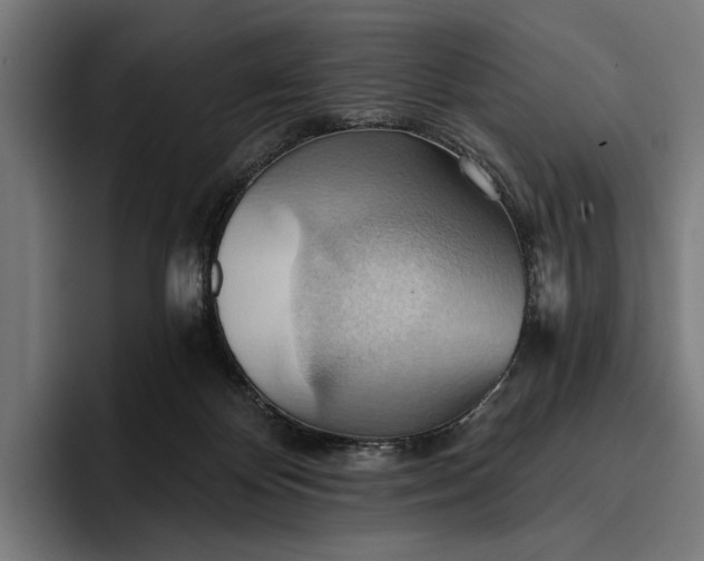 X0000096690124200802191436