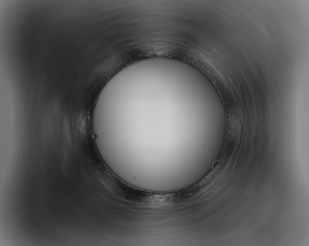 X0000096690126200802191436