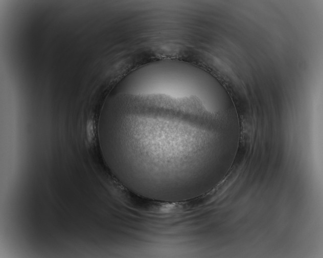 X0000096690130200802191436