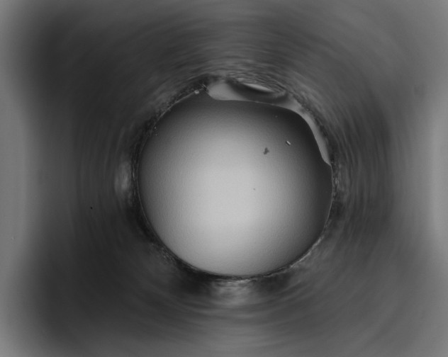 X0000096690132200802191436