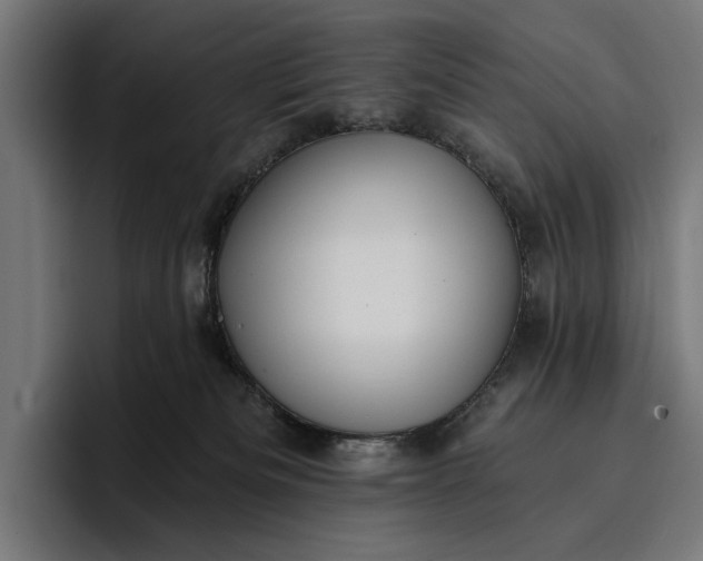 X0000096690133200802191436