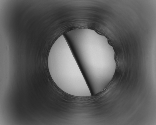 X0000096690141200802191436