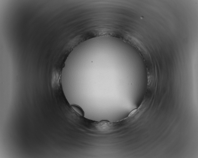 X0000096690142200802191435